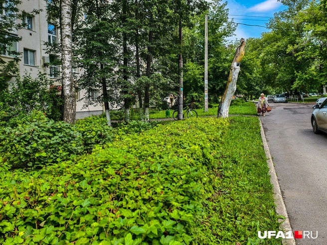Двор в целом не очень ухоженный | Источник: Булат Салихов / UFA1.RU