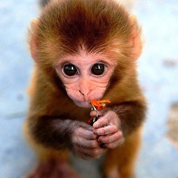 Источник: Соцсети