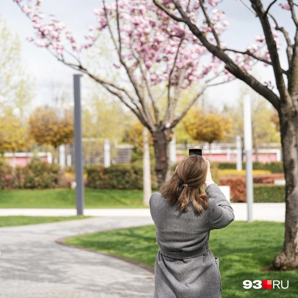 Прохожие не могут удержаться от фотографий | Источник: Дарья Паращенко / 93.RU
