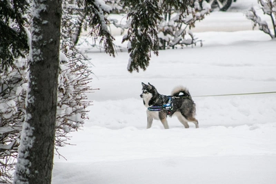 Теплые прогулки в Иркутске и снег на Байкале в субботу