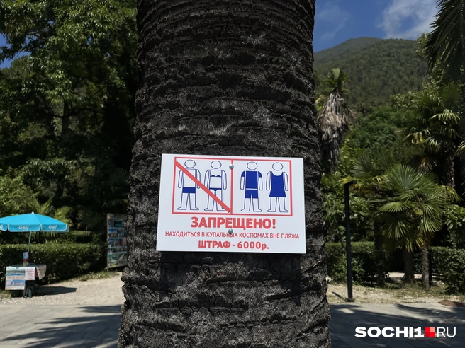 Штрафы никого не пугают | Источник: Анна Грицевич / SOCHI1.RU