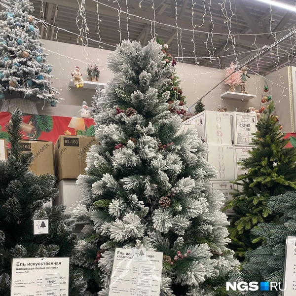 150&nbsp;см обойдутся вам от 3&nbsp;690 рублей до 8990 рублей, 300&nbsp;см&nbsp;— от 14&nbsp;990 рублей до 32&nbsp;990 рублей | Источник: Алёна Золотухина / NGS.RU