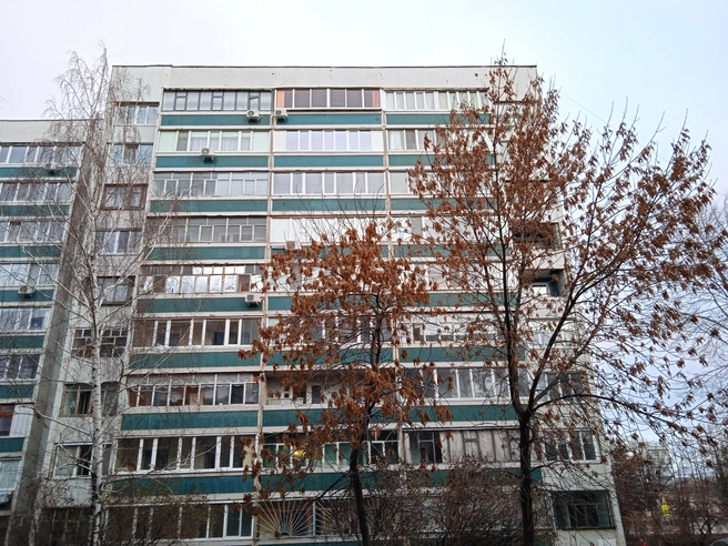 В Ульяновске 22-летняя девушка погибла, упав с большой высоты | Источник: Дмитрий Сильнов / 173. RU