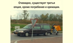 Самые смешные картинки с черным юмором за лето 2025 года