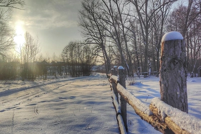 Photographer Captures Winter Fairy Tale in Petrovsky Hamlet