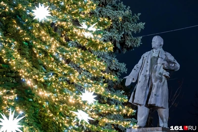 Ёлки Ростова и Краснодара: какая выше?