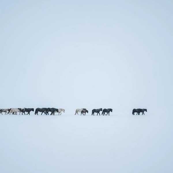 Источник: Magdalena Stockschläder / Fine Art Photography Awards 2025
