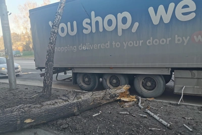В Новосибирске дерево упало на грузовик у дома на Жуковского