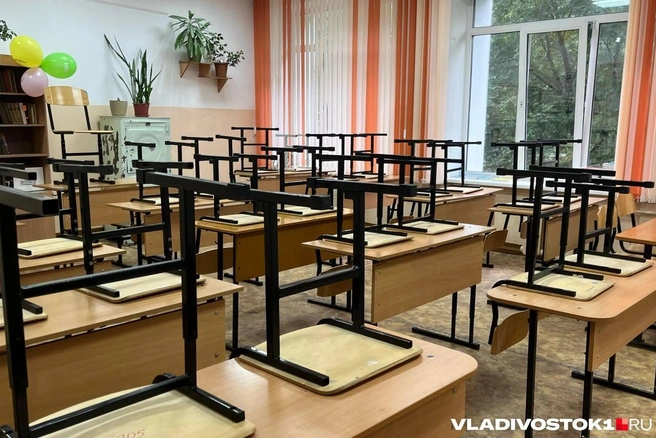 Источник: Елена Буйвол / VLADIVOSTOK1.RU