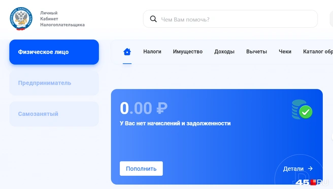 Страница личного кабинета налогоплательщика  | Источник: Юлия Король / 45.RU