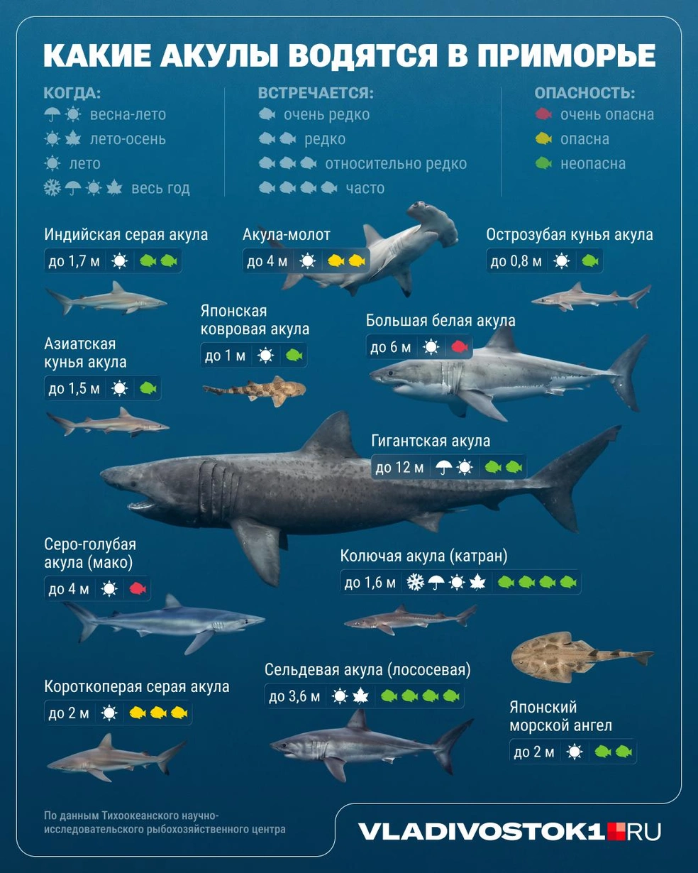 Источник: VLADIVOSTOK1.RU