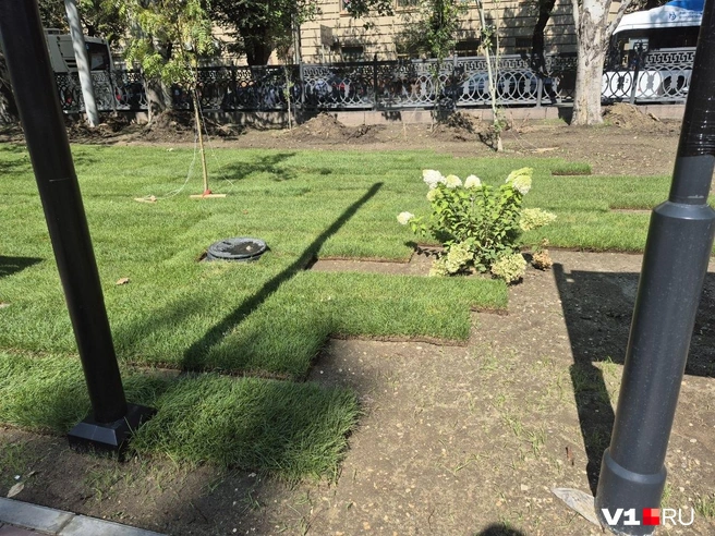 Полив и газон тоже пока ещё не готовы | Источник: Ирина Яковлева / V1.RU