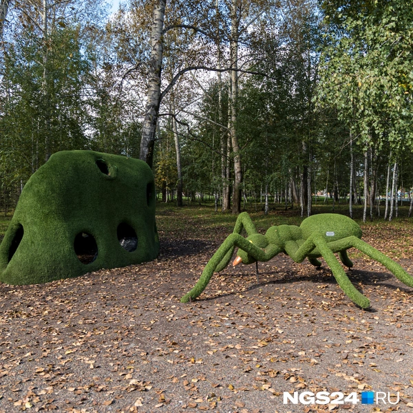 Паук | Источник: Мария Ленц / NGS24.RU