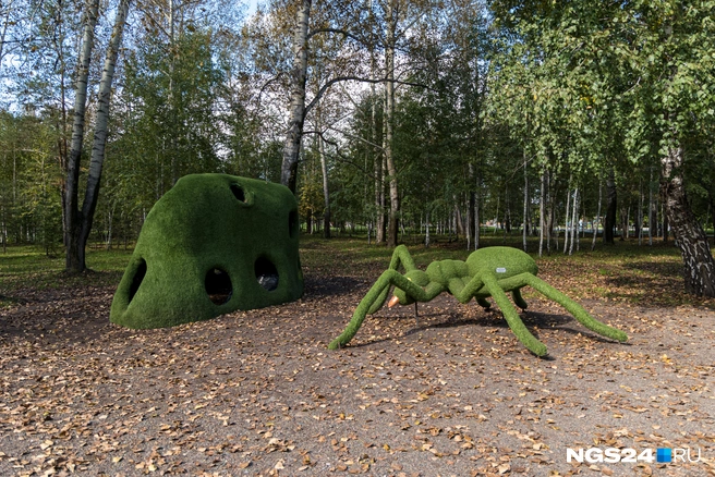 Фигура паука | Источник: Мария Ленц / NGS24.RU