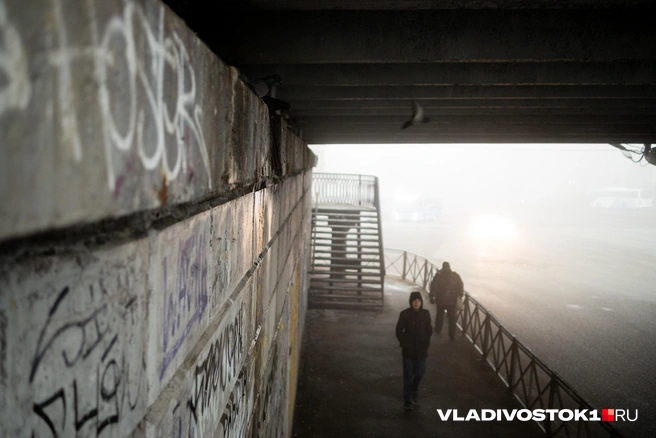 Источник: Елена Буйвол / VLADIVOSTOK1.RU