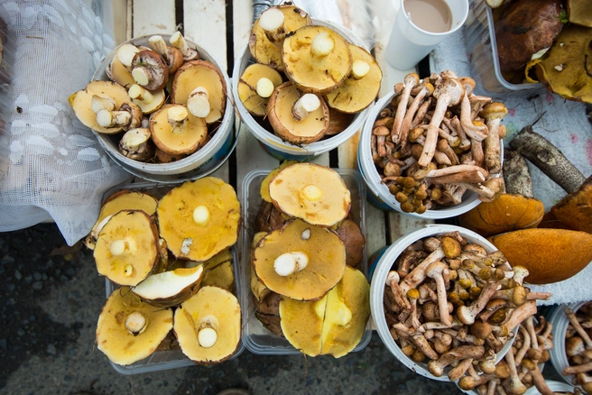 В октябре обычно ходят за опятами | Источник: Артём Устюжанин / E1.RU