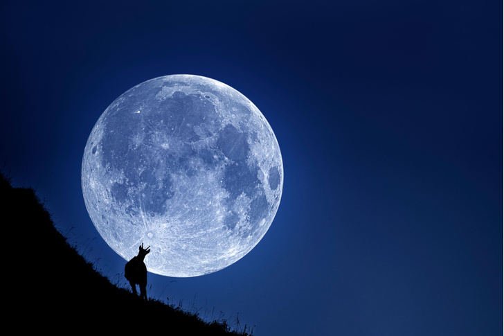 Почему над горизонтом Луна кажется большой, а над головой — маленькой?