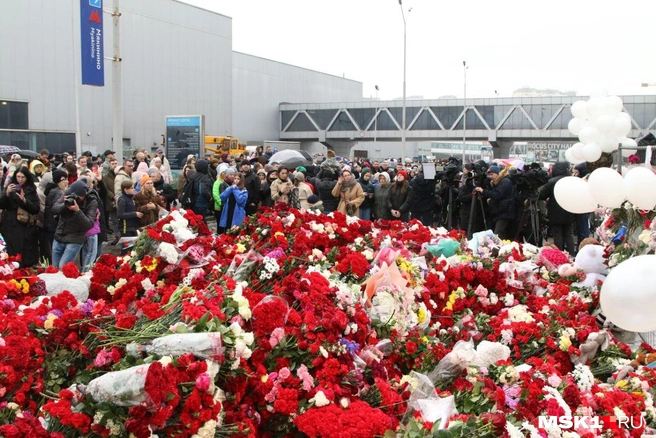 Всего количество пострадавших оценивается в 154 | Источник: Татьяна Спиридонова / MSK1.RU
