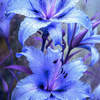 userpic__Аминат Касаева