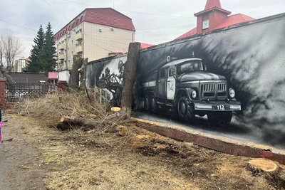 В Тюмени вырубили десятки деревьев для безопасности дорог