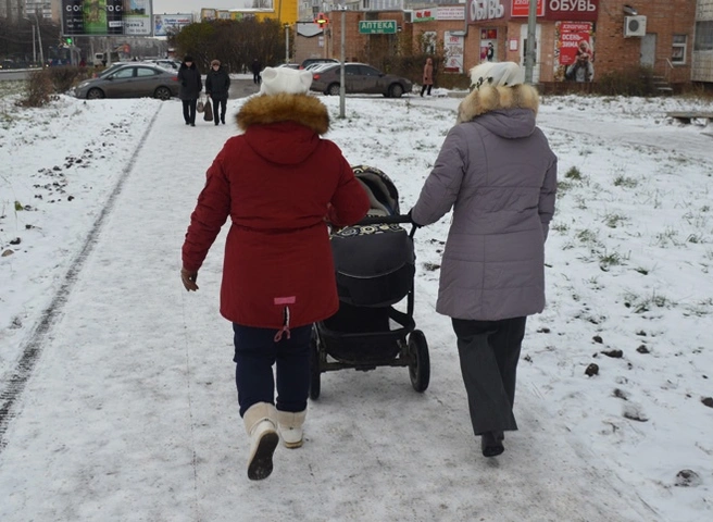 В Рязани многодетным семьям выделят новые земельные участки | ya62.ru