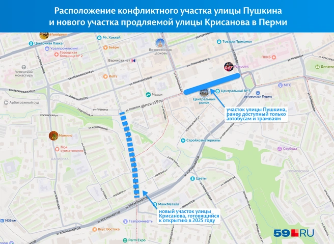 Мы показали на карте расположение спорного участка улицы Пушкина и продления улицы Крисанова | Источник: «Яндекс Карты»