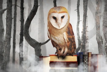 13 лучших тестов Psychologies за последнее время: проверьте, не переоцениваете ли вы свой уровень эрудиции