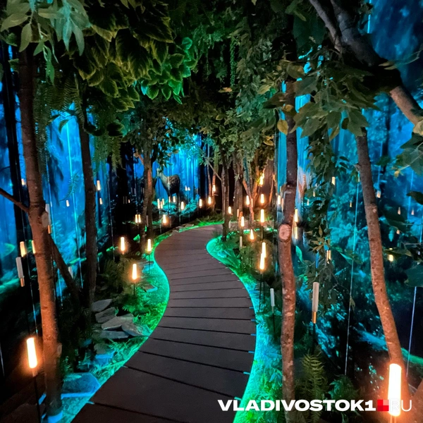 Источник: Елена Буйвол / VLADIVOSTOK1.RU