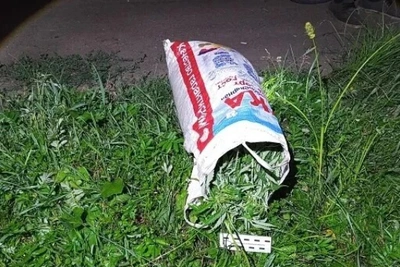 В Приамурье изъяли более 400 кг наркотиков