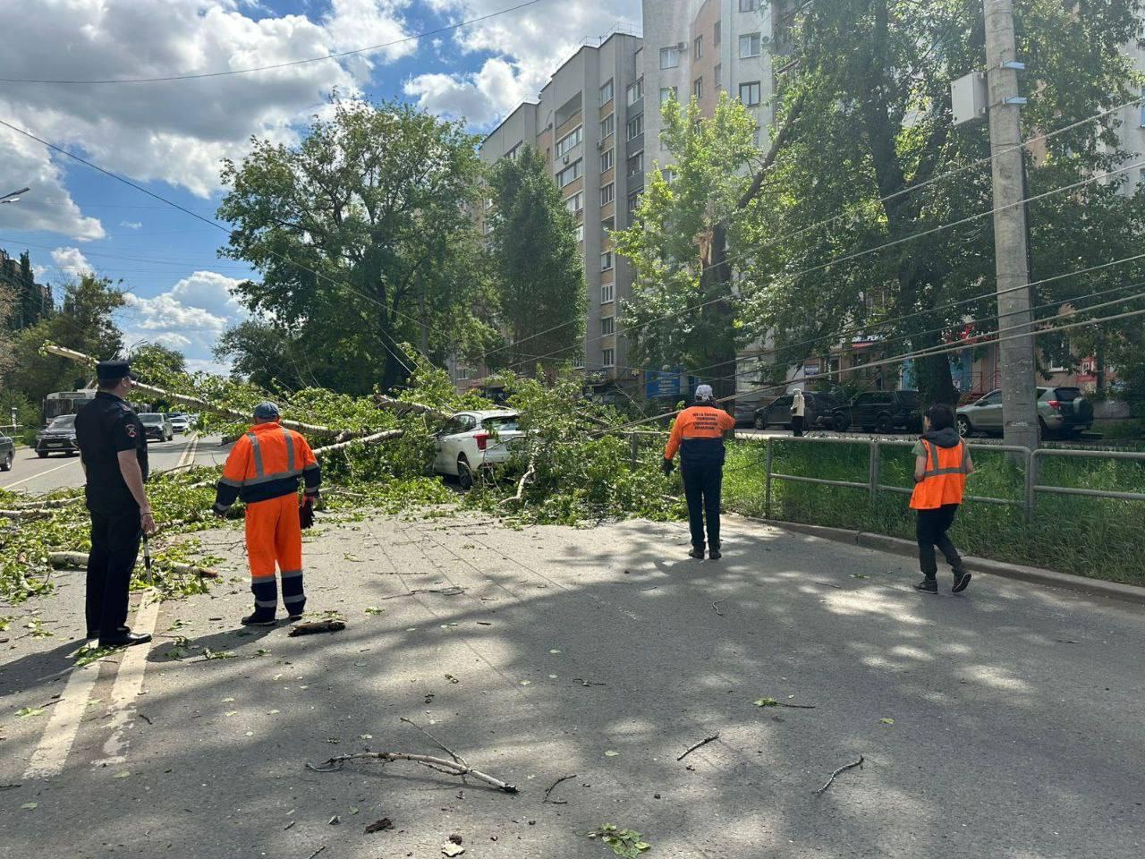 Огромное дерево рухнуло на проспект Кирова в Самаре. Пострадали люди и машины — фото