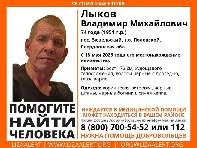 Любую информацию о пропавшем просят сообщить в полицию или по горячей линии | Источник: «ЛизаАлерт»