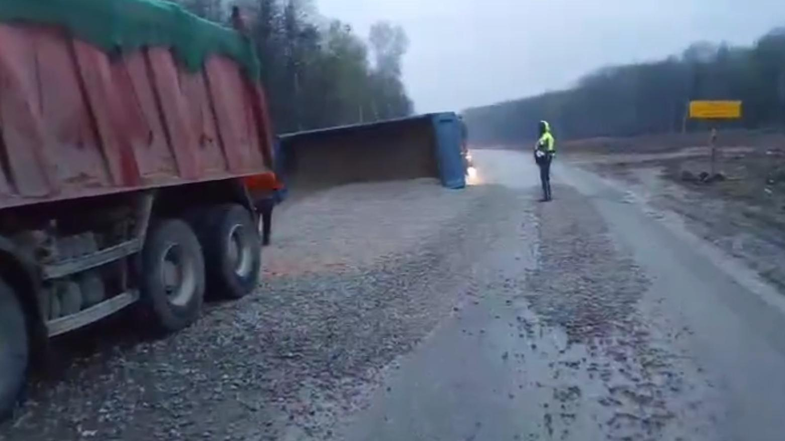 width=100%