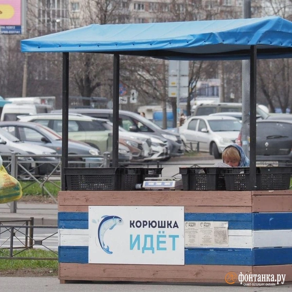 Источник: Михаил Огнев / FONTANKA.RU