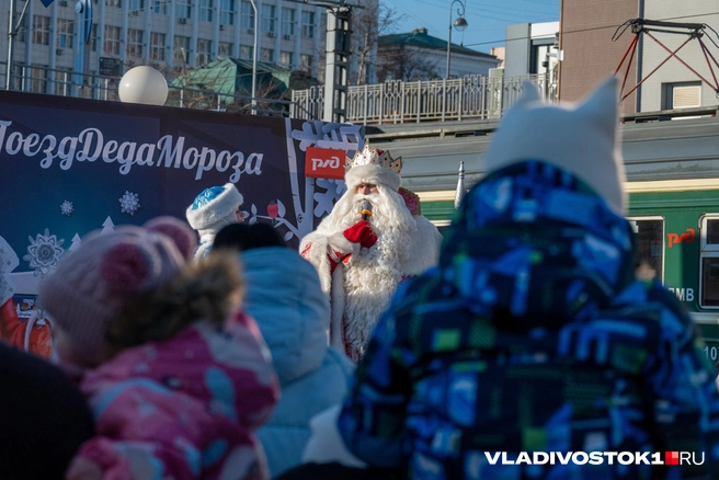 Источник: Елена Буйвол / VLADIVOSTOK1.RU