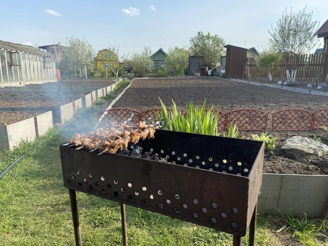 Роспотребнадзор провел проверку мяса для шашлыка. Специалисты рассказали, в каком нашли инфекцию | Источник: Максим Бутусов / Городские медиа