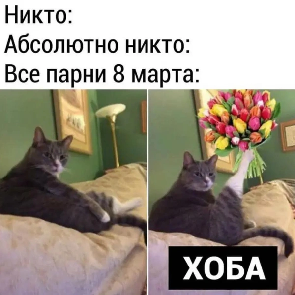 «Это женский праздник, не надо впутывать мужчин»: смешные мемы про 8 марта | Источник: социальные сети 