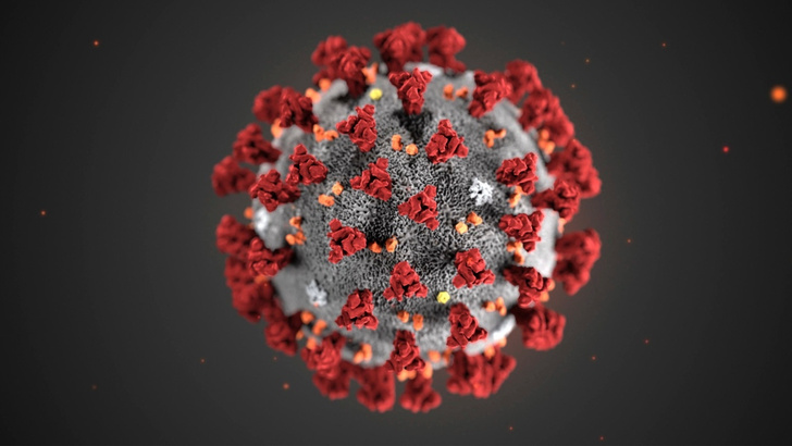 Появился сайт, который оценит твои шансы умереть от коронавируса