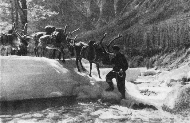 Ледники Кодара