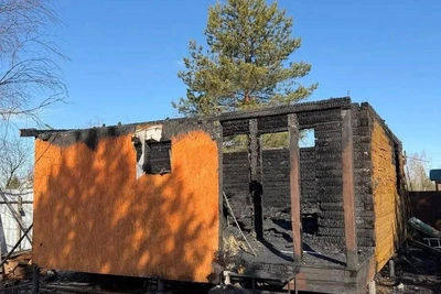 В Подмосковье при пожаре погибли отец и сын