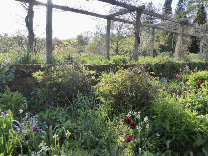 Сад Gravetye Manor в Англии: шесть идей, которые можно взять на заметку