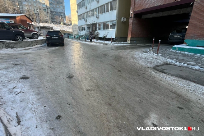 Источник: Елена Буйвол / VLADIVOSTOK1.RU