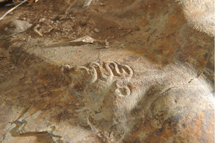 В идеальной сохранности: 3 удивительные находки палеонтологов