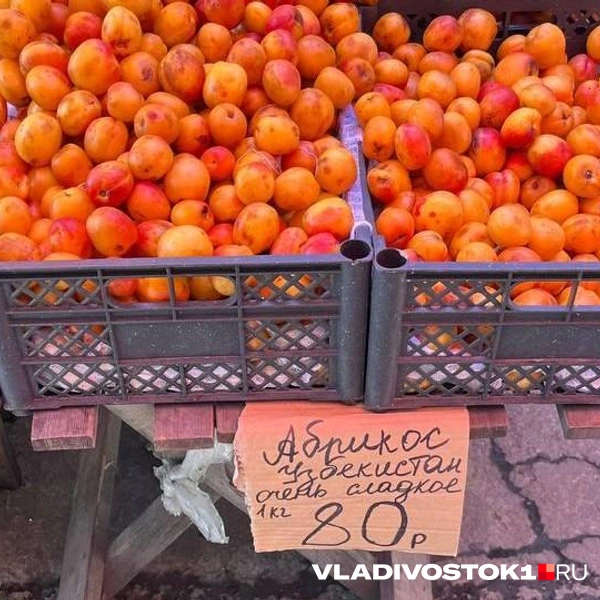 Источник: Елена Буйвол / VLADIVOSTOK1.RU