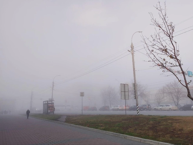 В Ульяновске ожидается густой туман | Источник: Дмитрий Сильнов / 173. RU