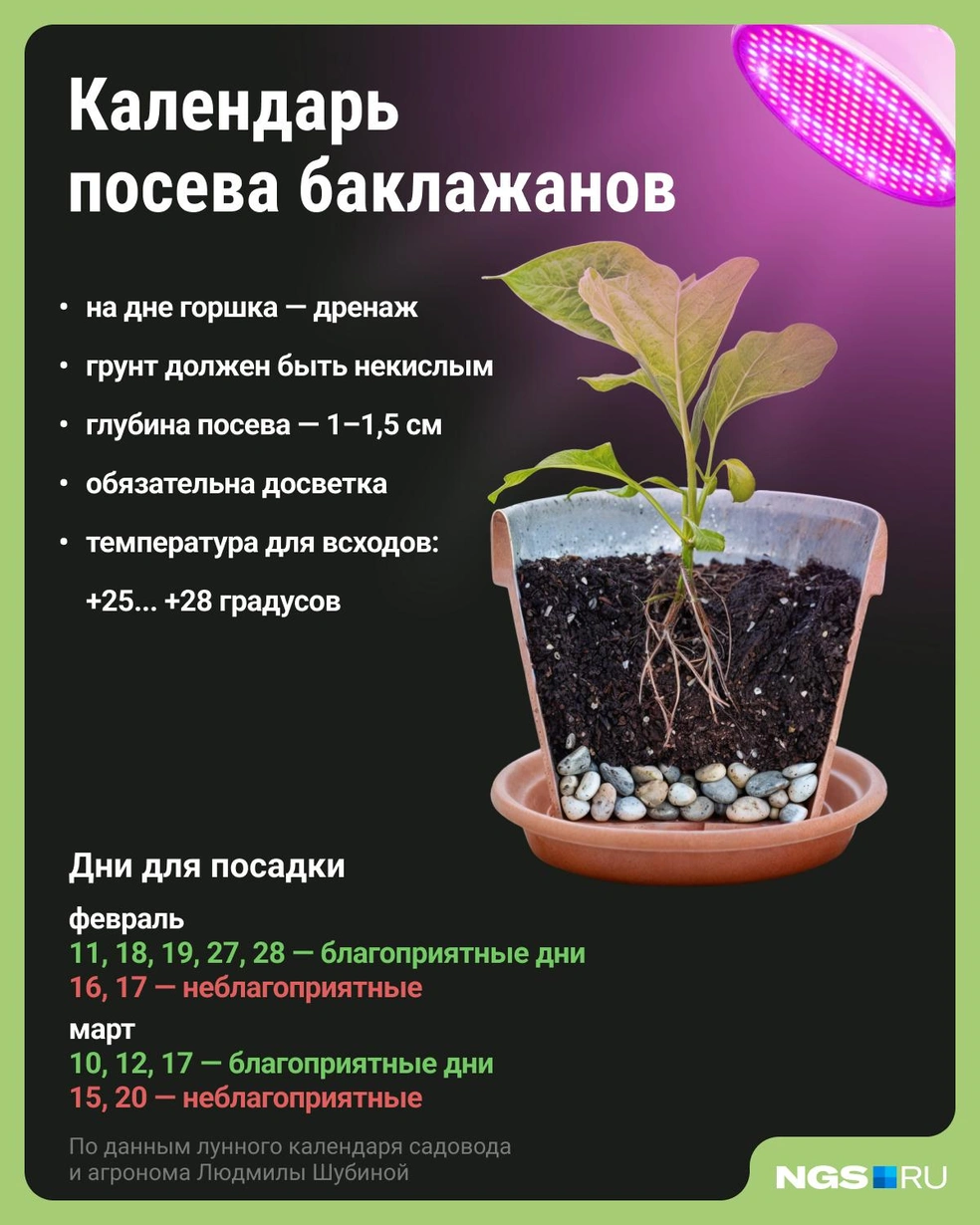 Источник: Юрий Орлов / Городские медиа