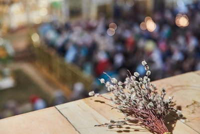 Приметы Вербного воскресенья предсказывают летнюю погоду