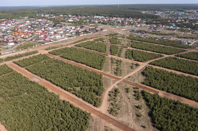 Девелопер осваивает новые земли. Здесь можно приобрести участок с настоящим лесом на территории | Источник: «7 ПРУДОВ»