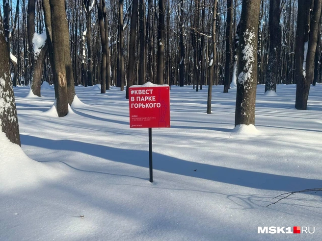 Отличный вышел квест в Парке Горького | Источник: Анастасия Харитонова / MSK1.RU
