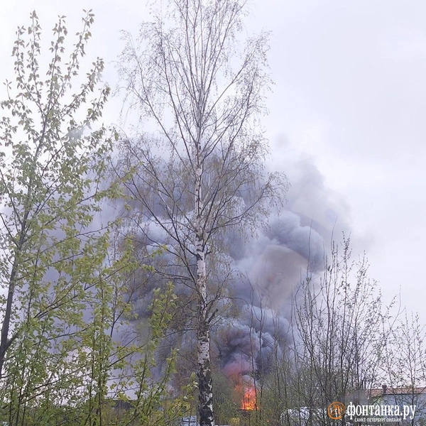 Источник: читатель «Фонтанки»