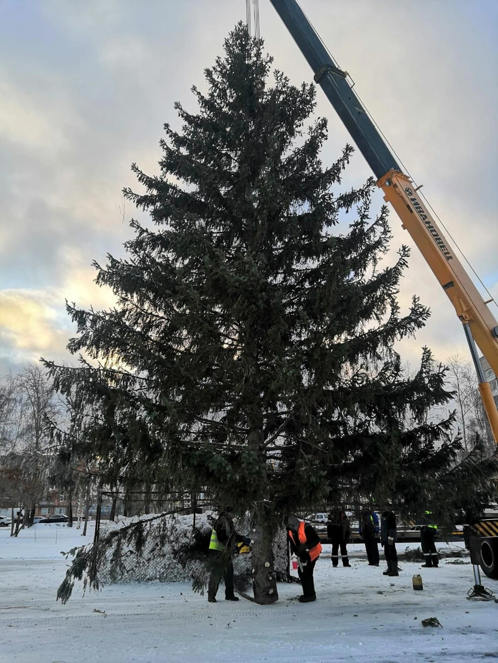 Новогодняя елка Коряжмы, фото - 19 декабря 2023 - 29.ру